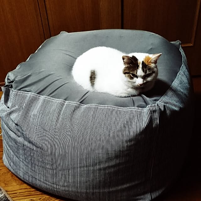 ねこのいる日常/ねこ/体にフィットするソファ/リビングのインテリア実例 - 2016-03-10 21:05:39