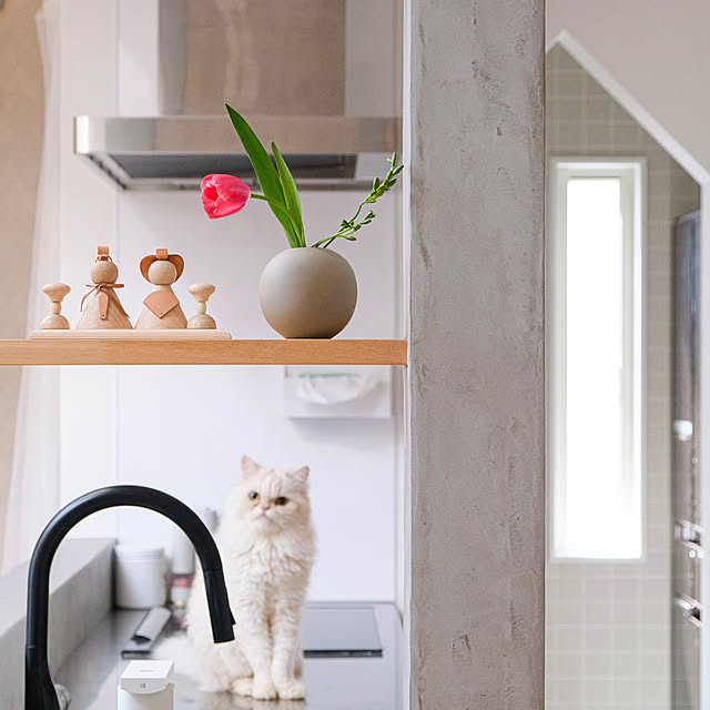 shiiiさんの実例写真