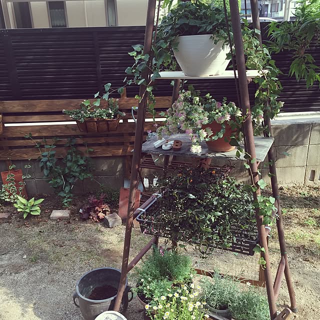bibianさんの実例写真