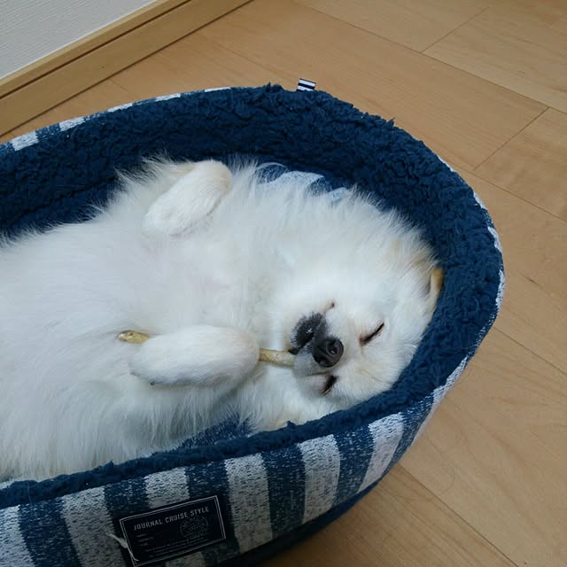 yuki15さんの実例写真