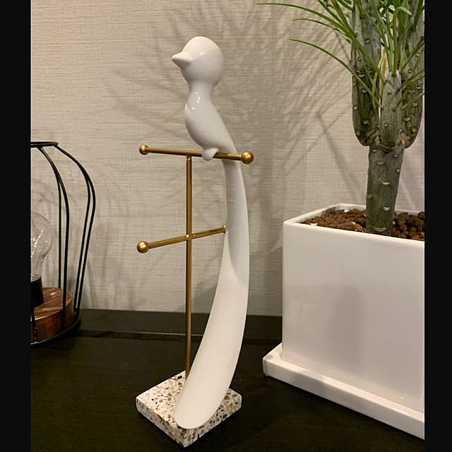 鳥さん/靴べら/おうち撮影クエスト/観葉植物/忘備録...などのインテリア実例 - 2020-08-18 20:57:43
