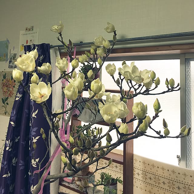 scabiosa1982さんの実例写真