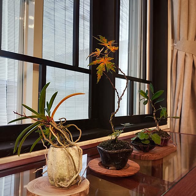 petitesplumesさんの部屋
