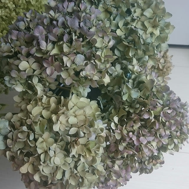 部屋全体/紫陽花ドライ/紫陽花/あじさいドライフラワー/ドライフラワー...などのインテリア実例 - 2018-07-31 17:17:44
