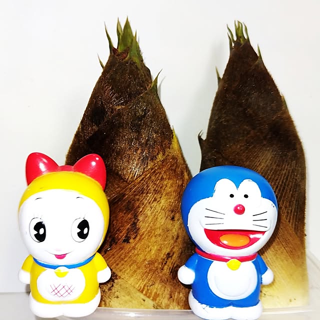 katさんの実例写真