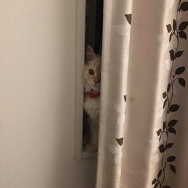 takiさんの実例写真