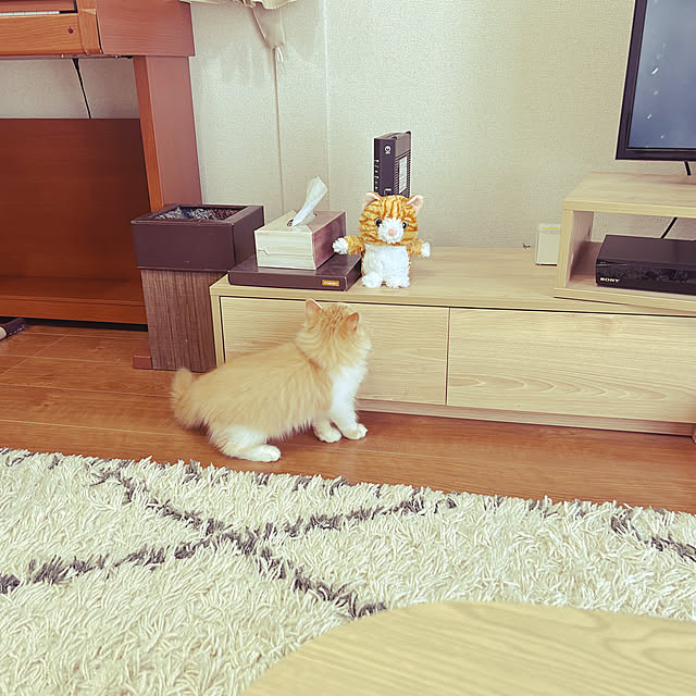 junさんの実例写真