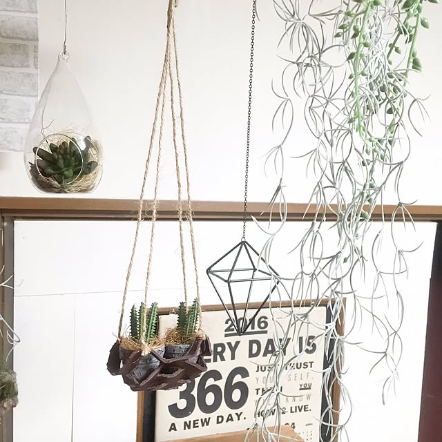 natulove0418さんの実例写真