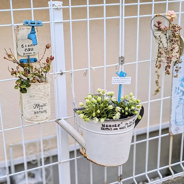 purpureさんの部屋