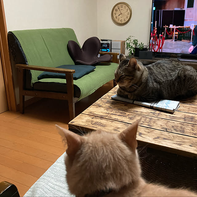 mikan161さんの実例写真