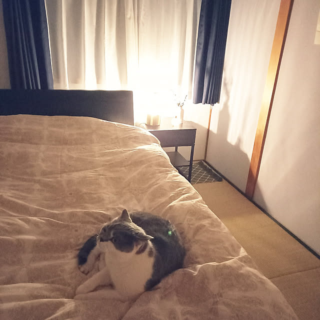 rhuさんの実例写真