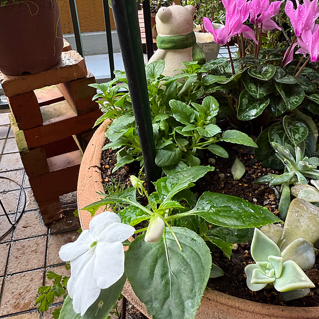 Aqettyさんの部屋