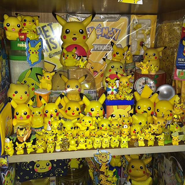 pikachu25voltさんの実例写真