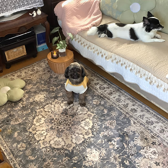 taeさんの部屋