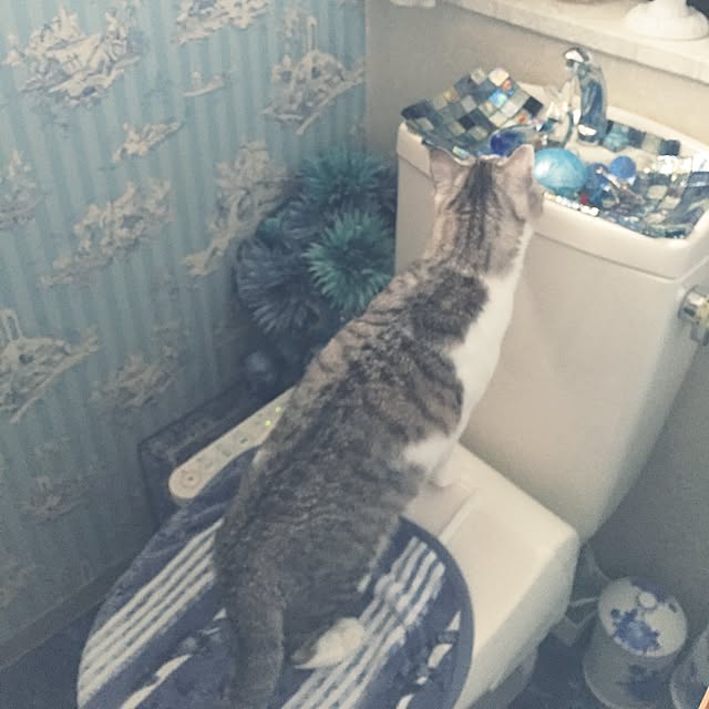 emmyyさんの実例写真