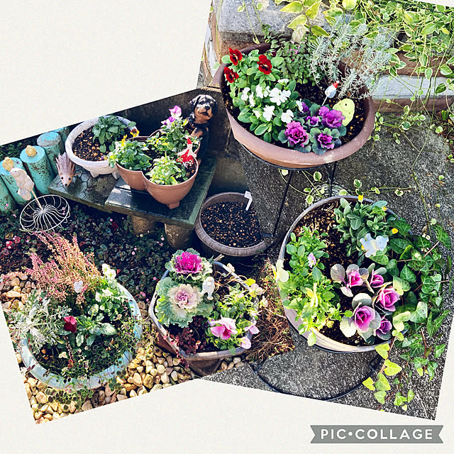 CoCo0617さんの実例写真