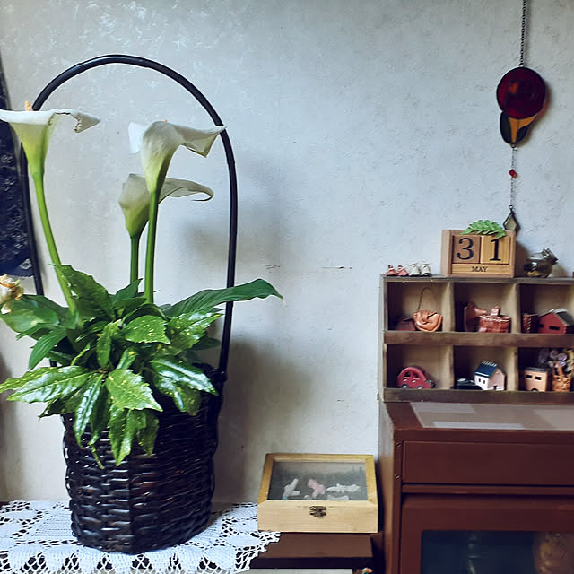 awadu-1970さんの実例写真