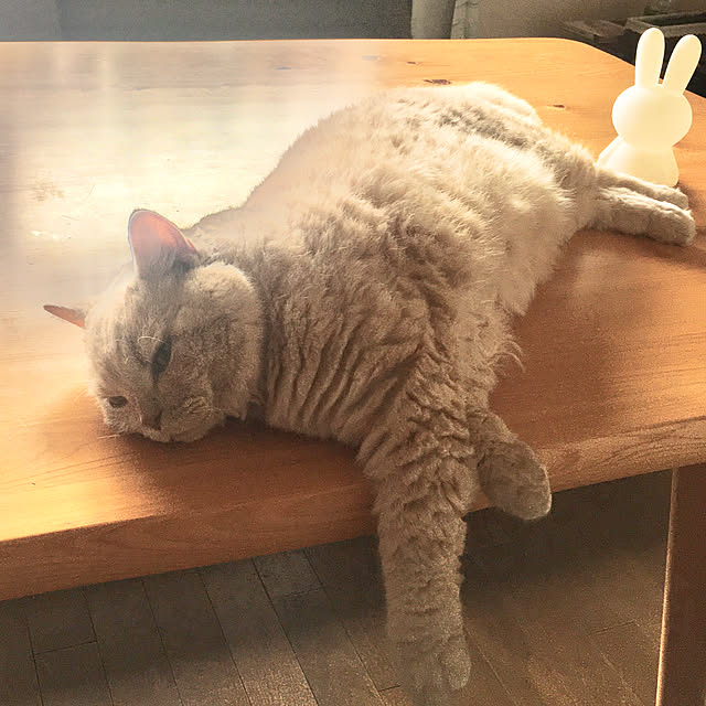 naokoさんの実例写真