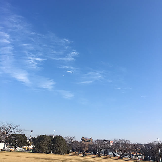 ohanaさんの実例写真