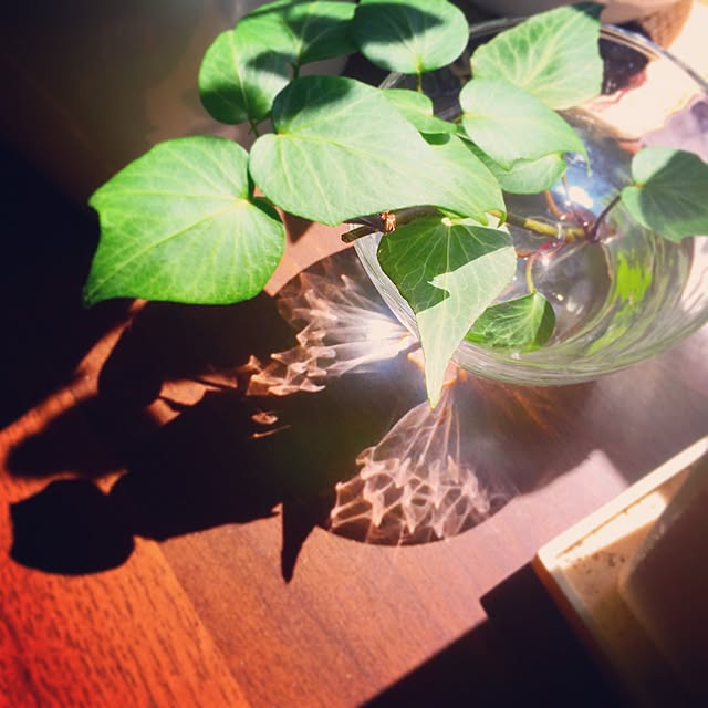 ochanさんの実例写真