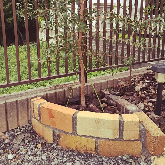 Junichiさんの実例写真