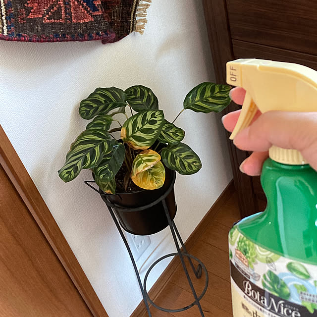 matthewさんの部屋