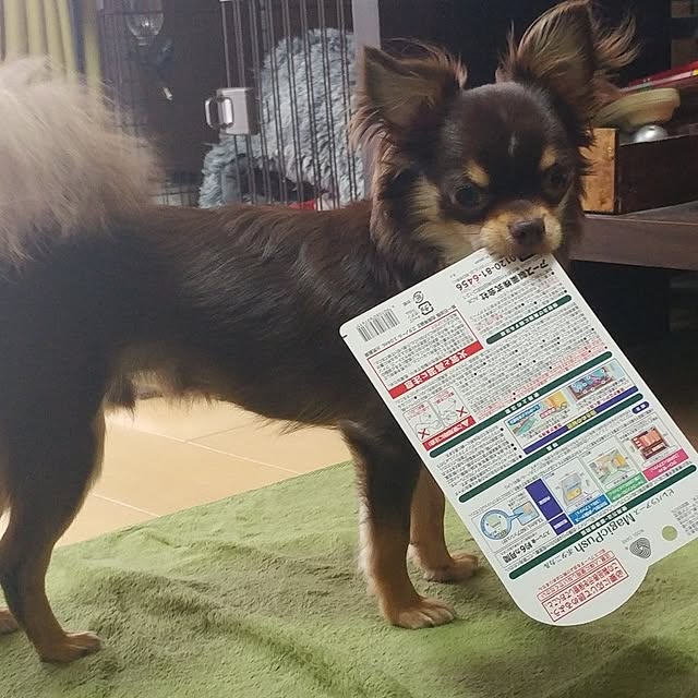 Eriさんの実例写真