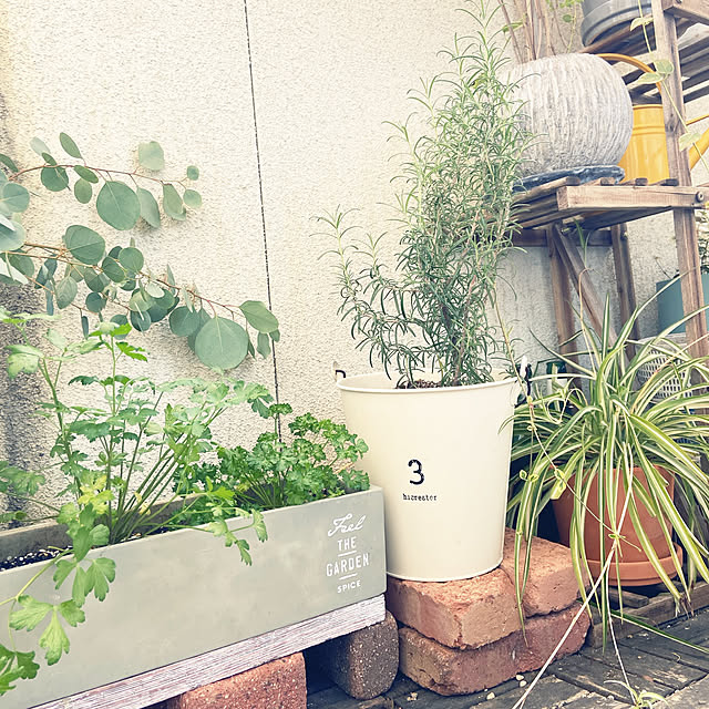 gachaさんの部屋