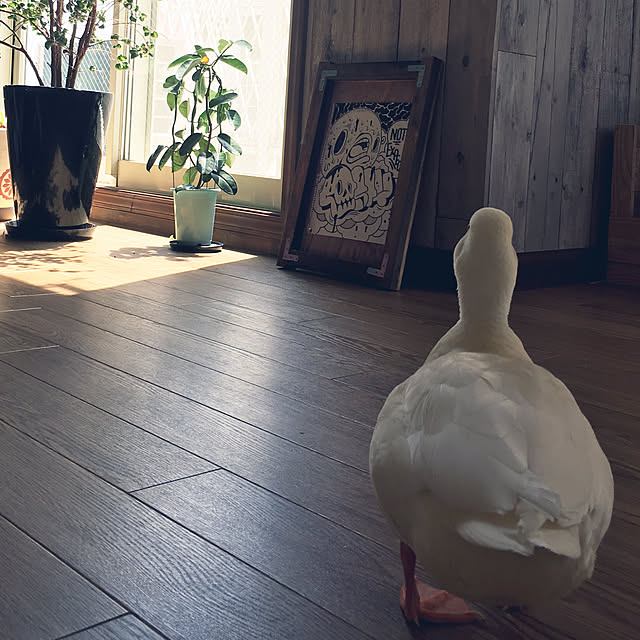 rby88さんの実例写真