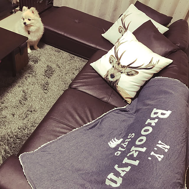 hotawasaさんの実例写真
