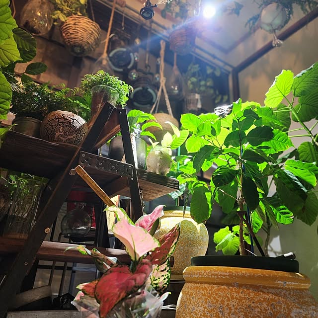 CYNOSさんの実例写真