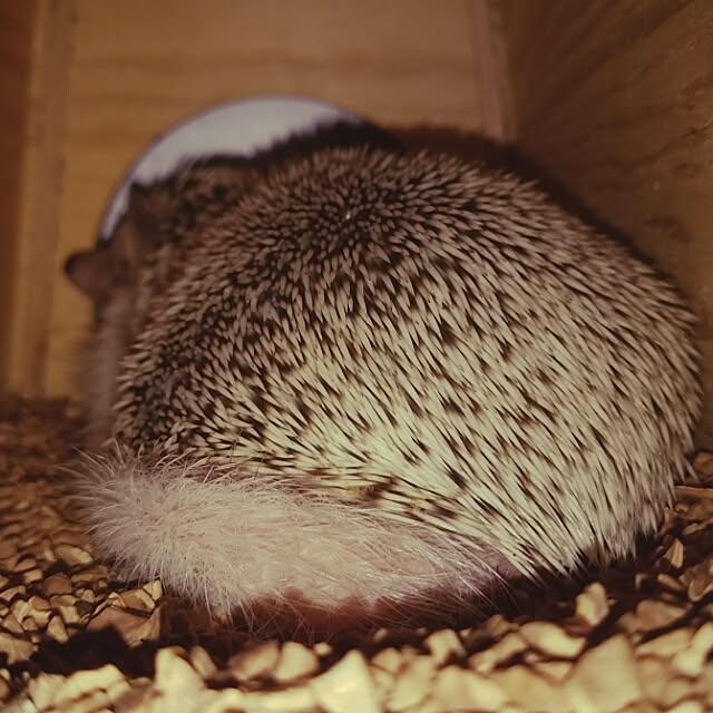 kuruさんの実例写真