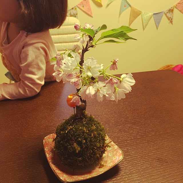 makoriさんの実例写真