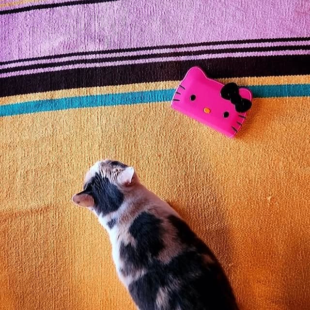 kumutanさんの実例写真