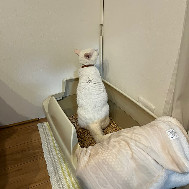 hanaさんの実例写真