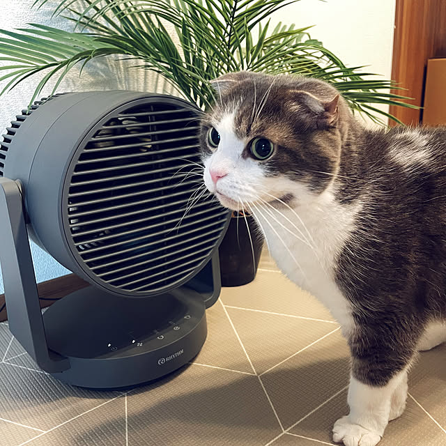 tansukeさんの実例写真