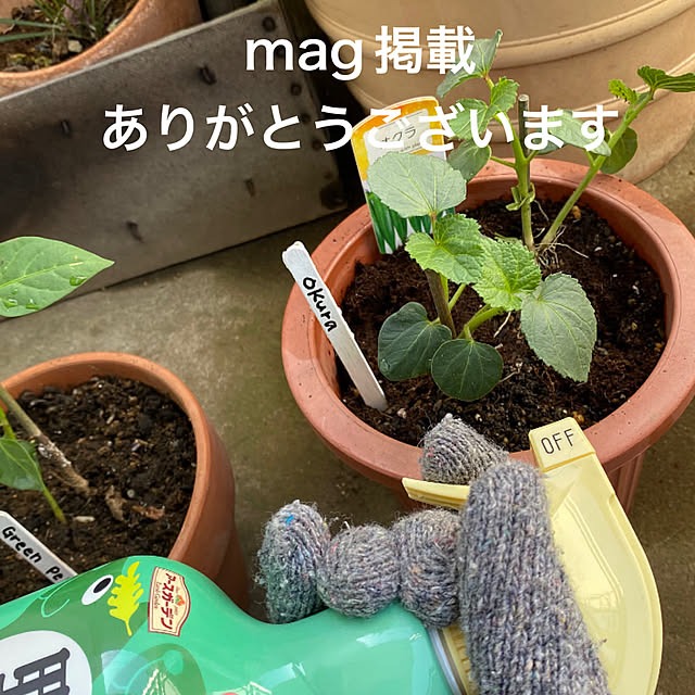 mamiさんの実例写真