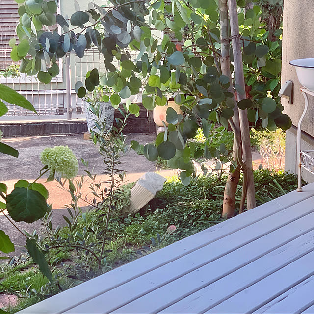 kazuさんの実例写真
