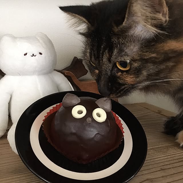 mikomaruさんの実例写真