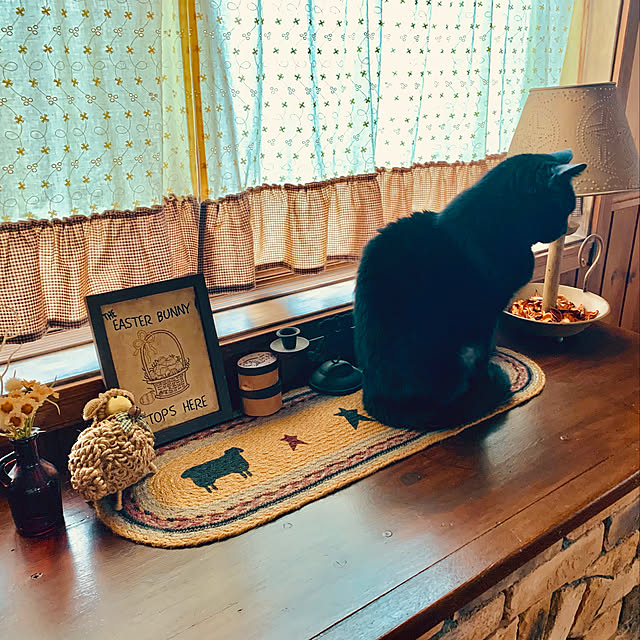 tabasaさんの実例写真