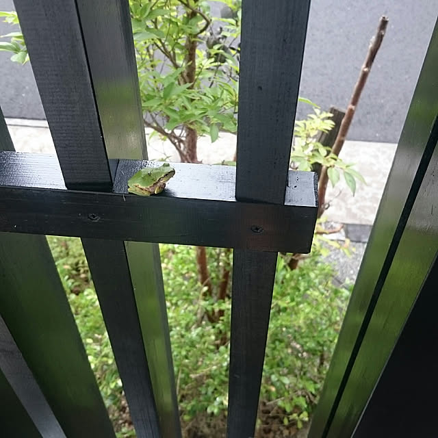 wakaba223さんの実例写真