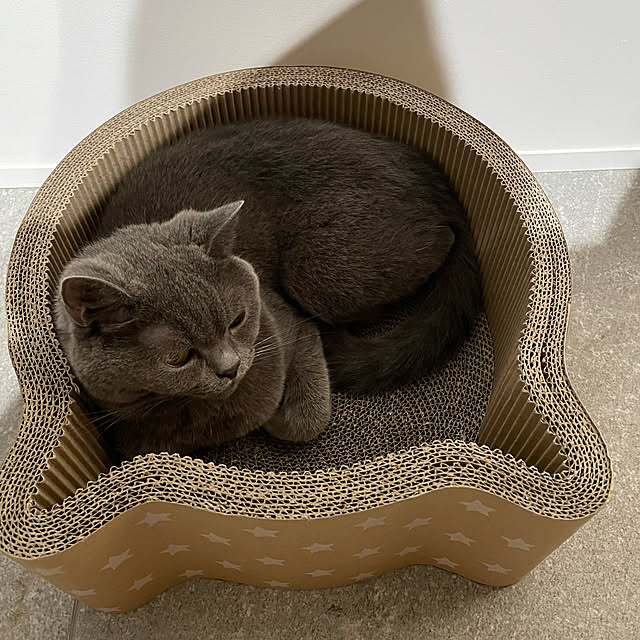 qoolasさんの実例写真