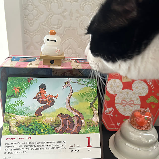 Fujikoさんの実例写真