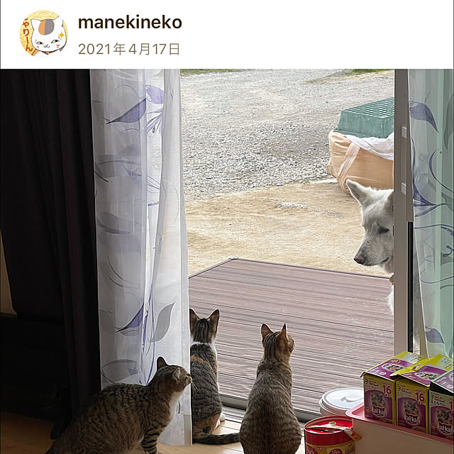 manekinekoさんの実例写真