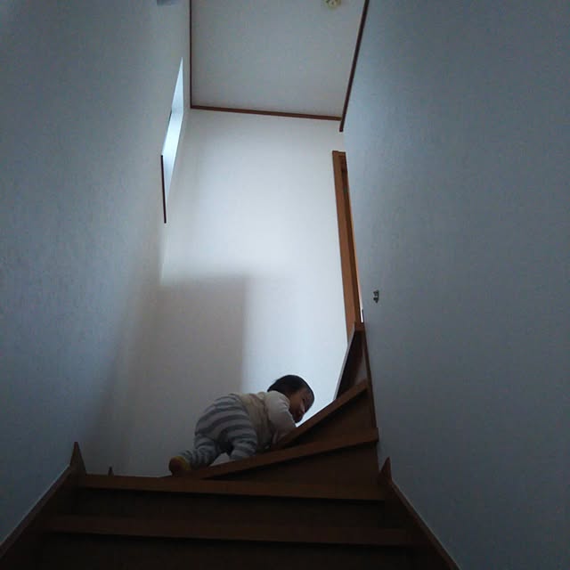 morieさんの実例写真