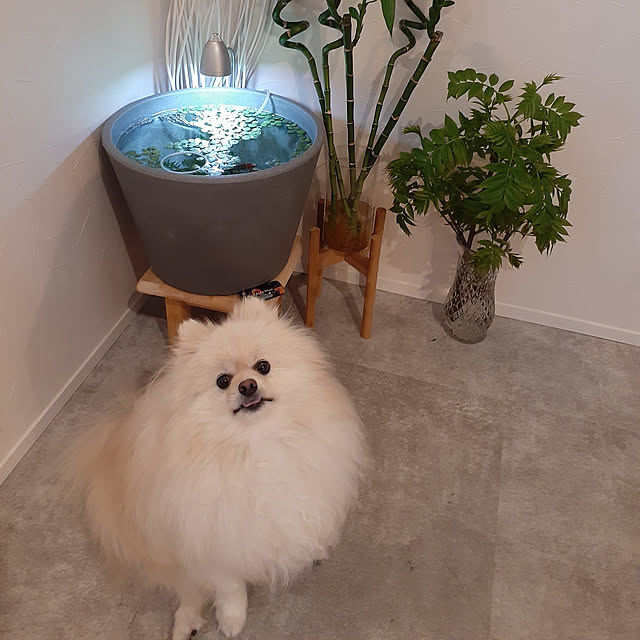 noahさんの実例写真