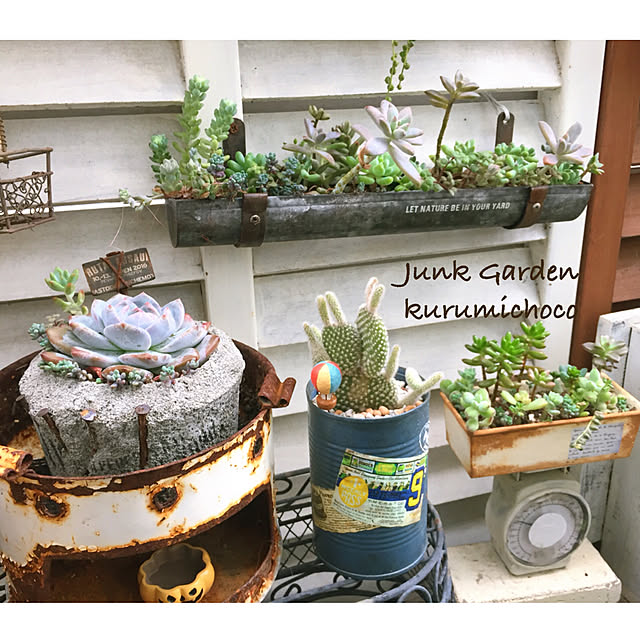 kurumichocoさんの実例写真