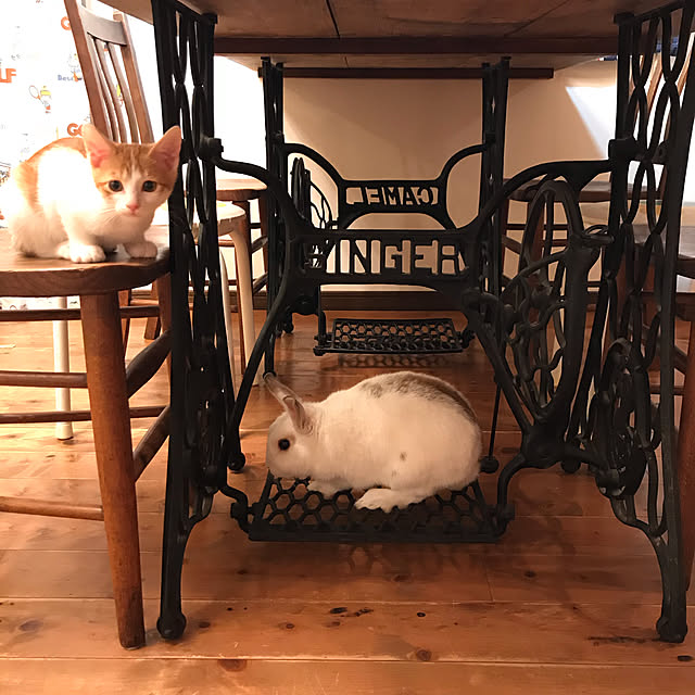 meさんの実例写真