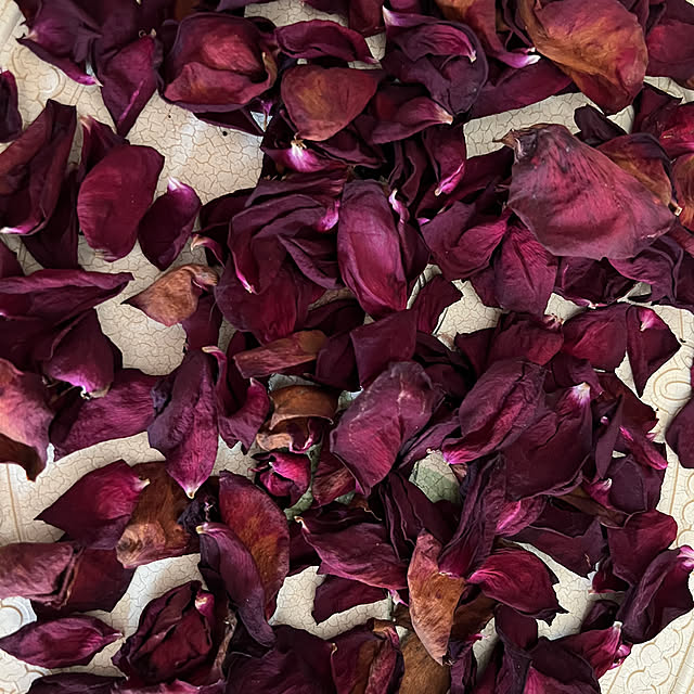 AYUKOさんの実例写真