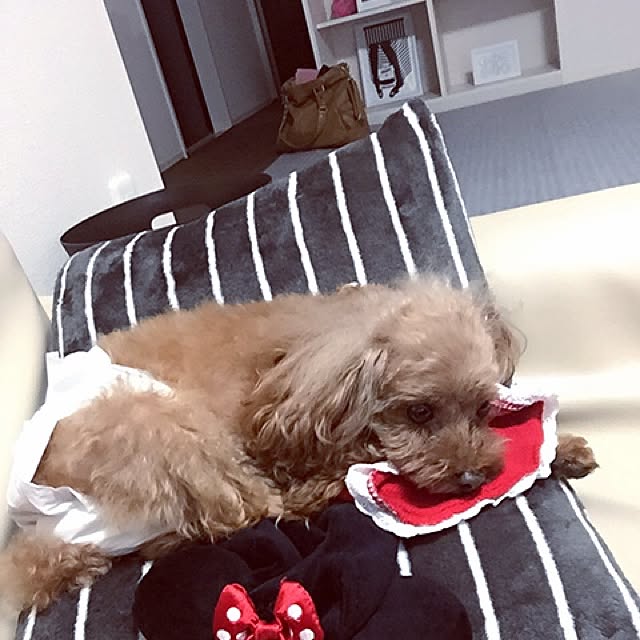 eternity109さんの実例写真